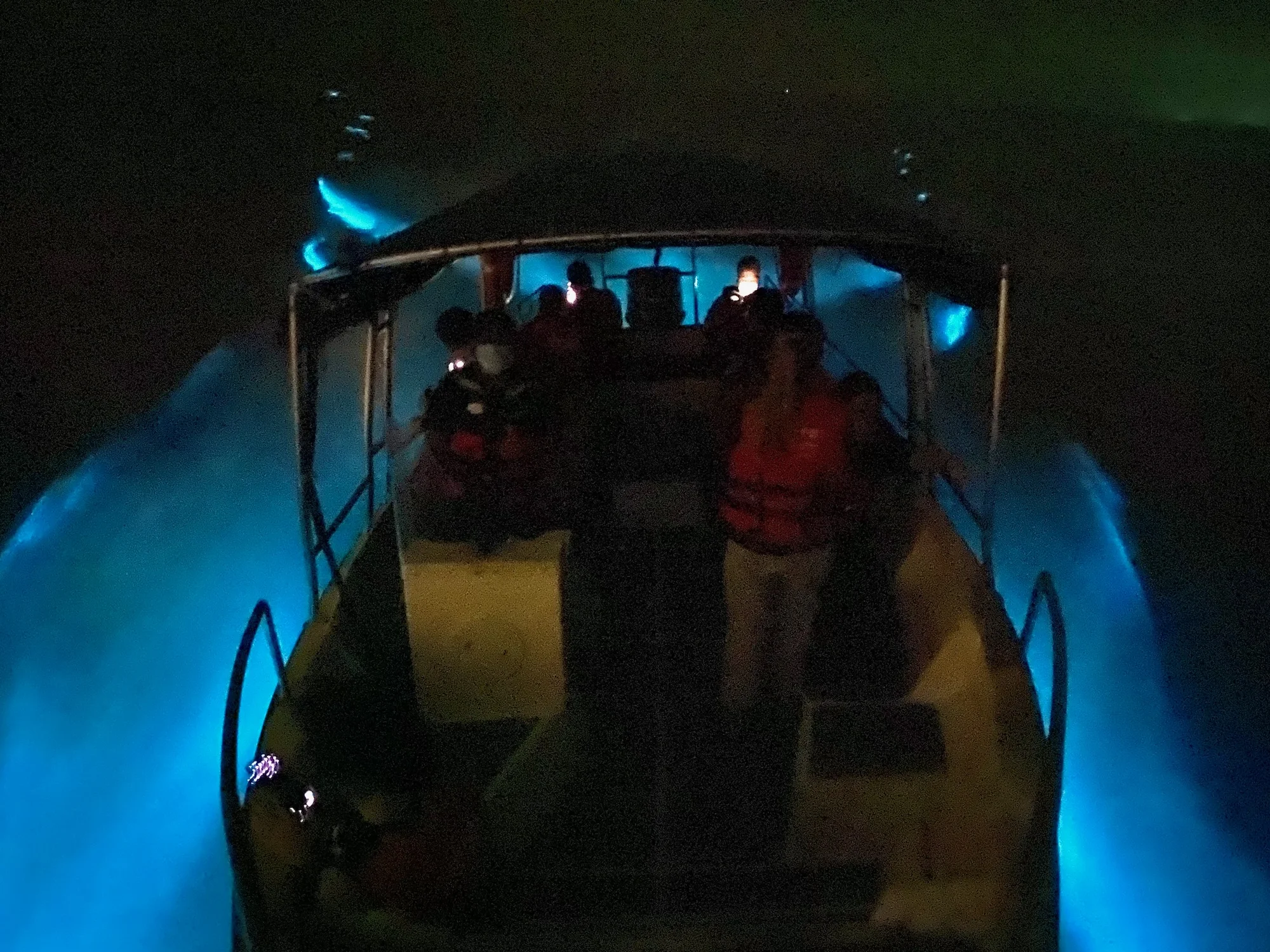 Blue Tears Experience in Kuala Selangor - Hot Deal