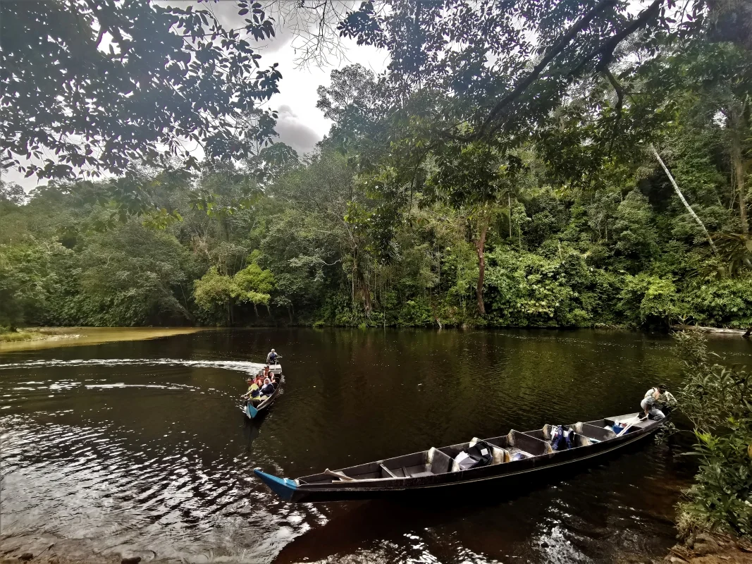 Taman Negara Tour (Private)