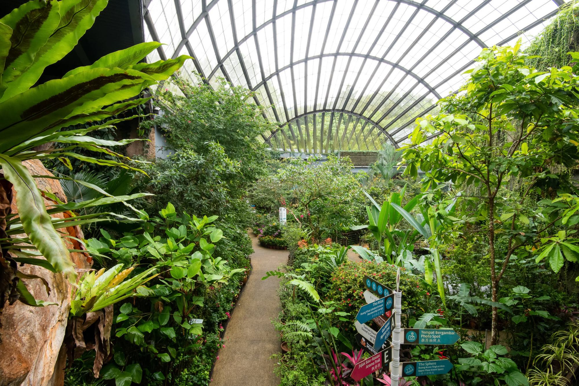 Entopia by Penang Butterfly Farm