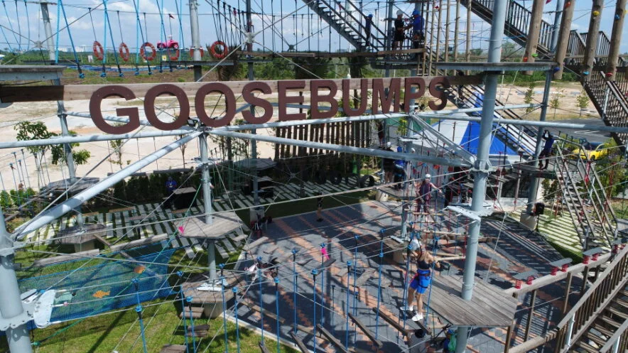 Discovery Park - Goosebumps Rope Course - gallery image
