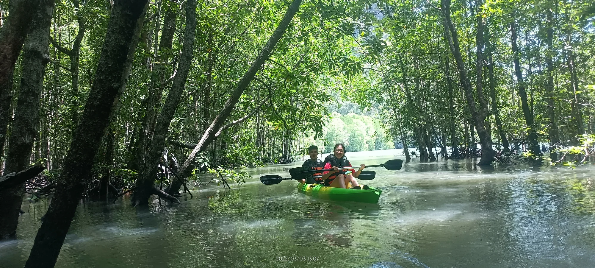 Mangrove Kayaking Budget Package - Hot Deal