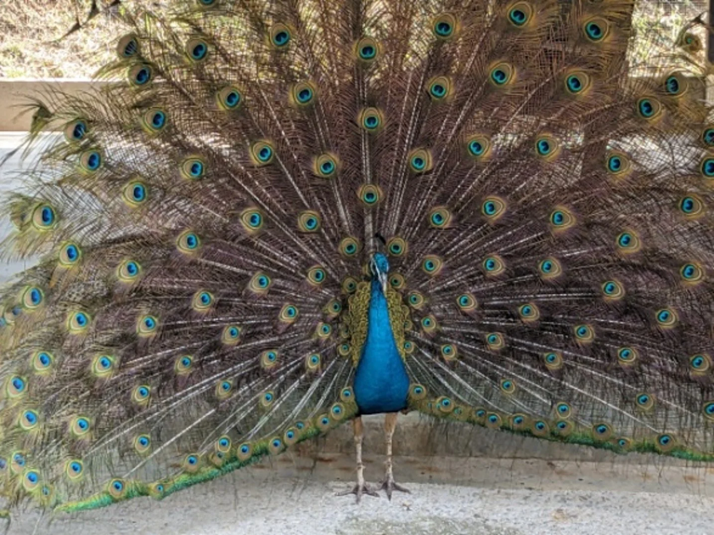 Refarm - Leisure Park and Resort - view 2