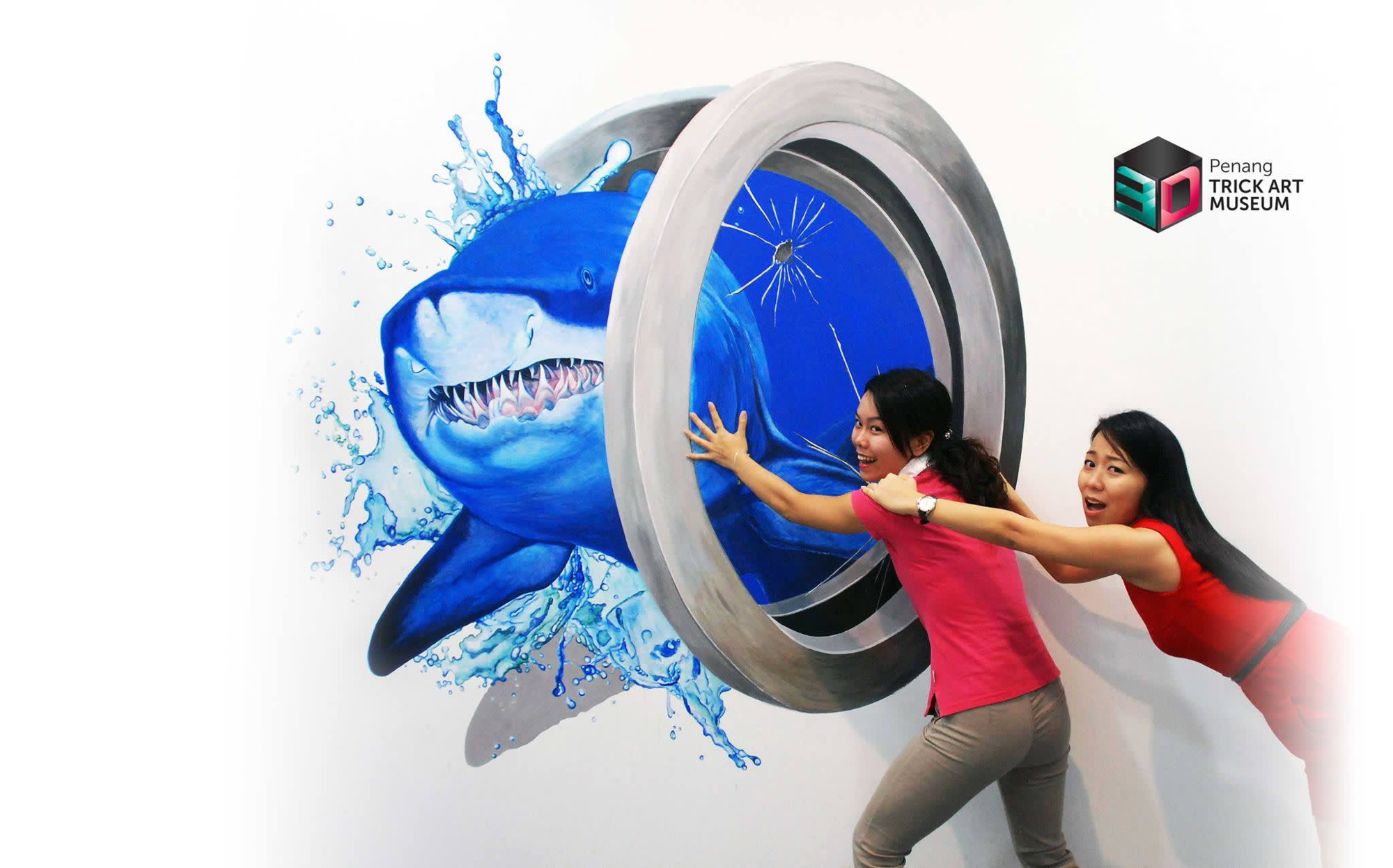 Penang 3D Trick Art Museum - Book tickets online at FunMalaysia