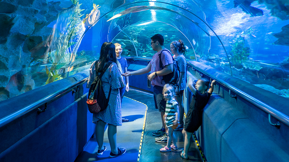 Aquarium
