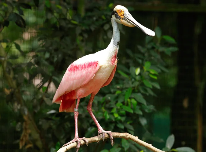 3D2N Singapore Tour with KidsPlay - gallery image