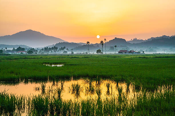 Kedah